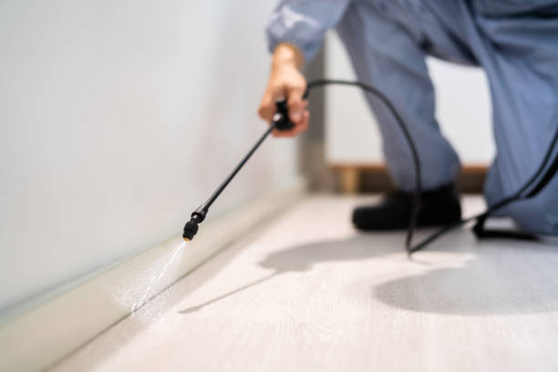 Rodent Entry Point Assessment in Knoxville