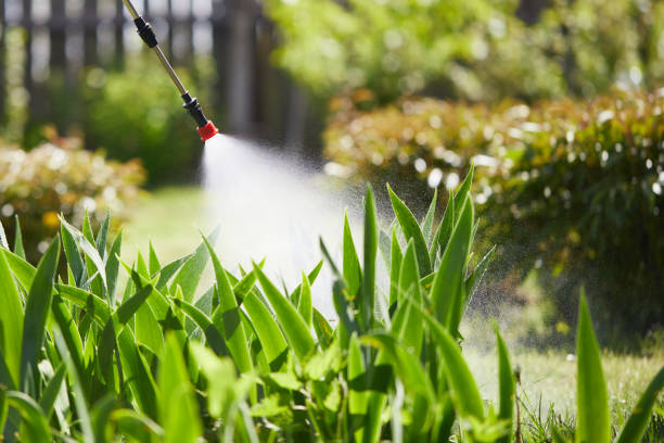 Tamper-Resistant Bait Stations for Rodents in Knoxville